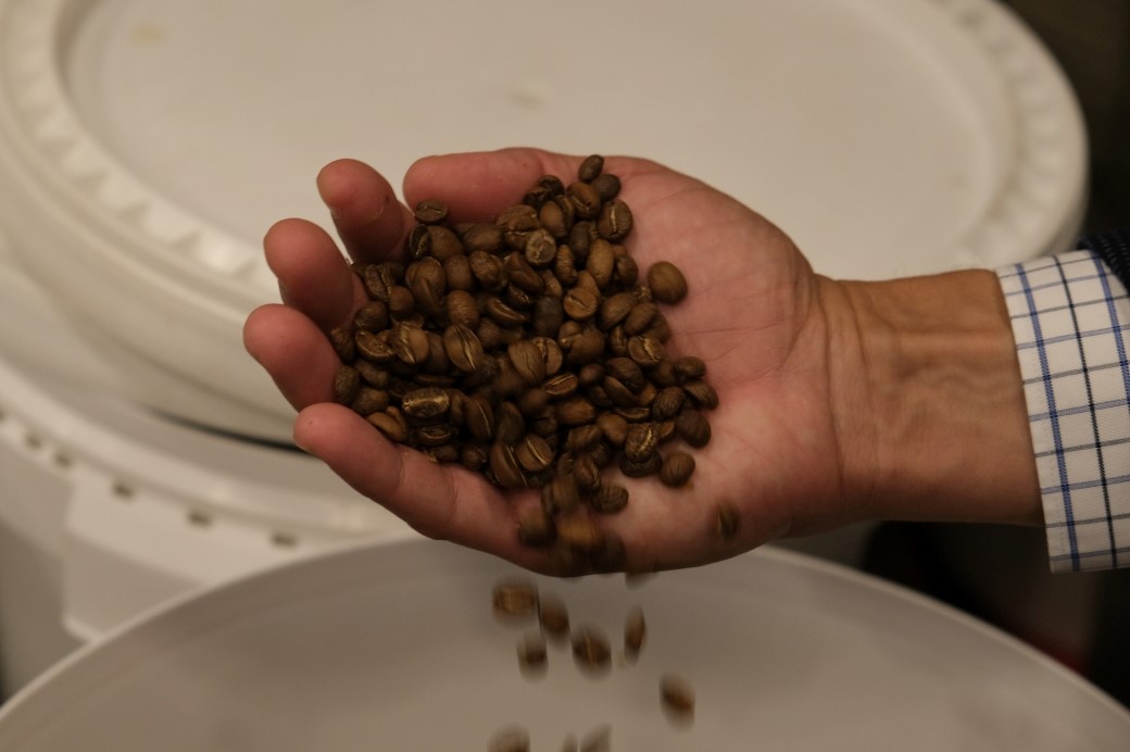 Granos de café en el tostadero de Eboca. Entrevista a Raúl Benito Eboca
